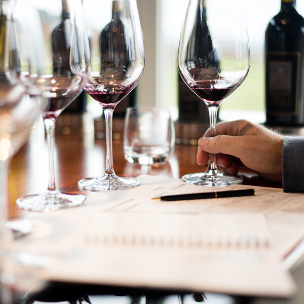 hand holds wine glass at wine tasting